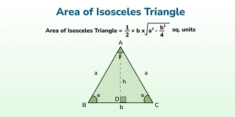 Triangle Area Calculation